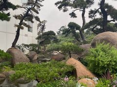 -罗红摄影艺术馆