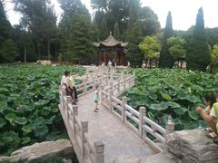 -晋祠公园