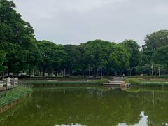 -金砂公园