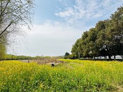 -艾溪湖湿地公园
