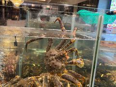 -万龙洲海鲜(大兴绿地缤纷城店)