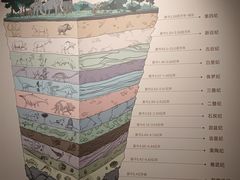 -四川大学博物馆