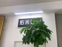 点击看大图 -佑米造型