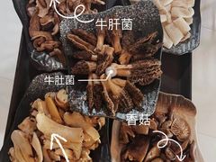 -蘑统田下·野生菌火锅