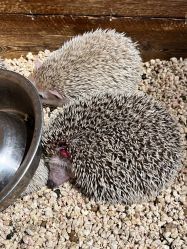 -酷嗒动物文化乐园(cutezoo西溪乐天城店)