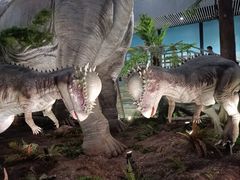 -湖南省地质博物馆