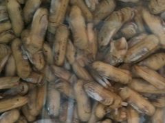 -宾朋海鲜特色美食餐厅·纯手工鲅鱼水饺(兴海路店)