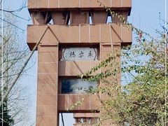 -三道苗苗鱼(三道堰老字号店)