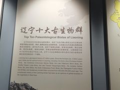-辽宁古生物博物馆