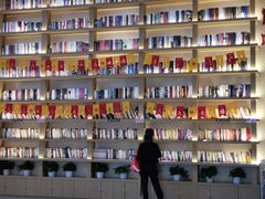 -深影国际影城(学院南路店CGS中国巨幕店)