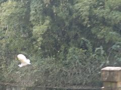 -龙头寺公园