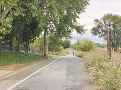 -良渚古城遗址公园