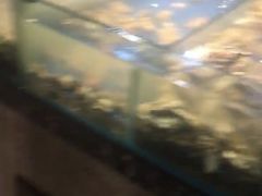 -甄品麦哲伦海鲜和牛自助(万达广场店)