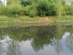 -长春公园(普阳街道)