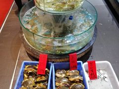 -强记海鲜·大排档(蛇口新街店)
