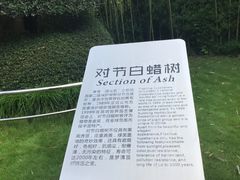 -苏州河梦清园环保主题公园