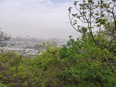 -灵岩山风景区