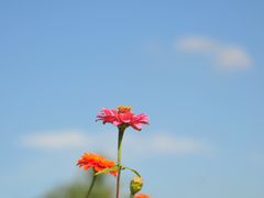 -漩门湾国家湿地公园