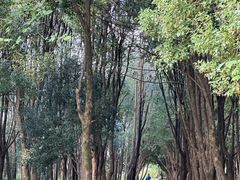 -良渚古城遗址公园