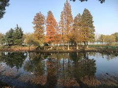 -金银湖国家城市湿地公园