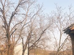 -洛柔芙(CBD万达店)