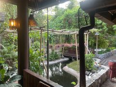 -卷心菜和避孕套餐厅(Pattaya)