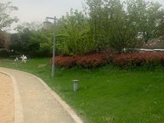 -盐官日光域房车营地·有盐餐厅