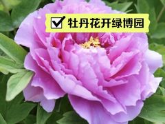 -郑州中国绿化博览园