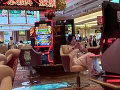 -澳门威尼斯人综合度假区