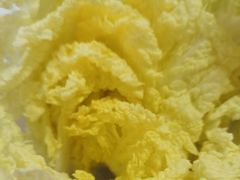 -野·大山里野生菌石锅土鸡(益田假日店)