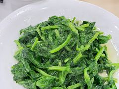 白酒有机豆苗-瑞福园联谊餐室(茂名南路店)