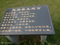 -仙湖旅游度假区