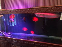 -5号KTV音乐广场(天通苑店)