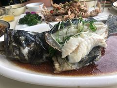 清蒸石斑鱼-鑫悦楼煎蟹·16年海鲜大排档