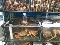 水产区-蚝专家(北滘店)