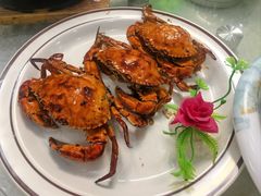 -台山美食一绝阿四台山黄鳝饭(阿四创作店)