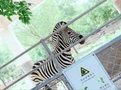 -石家庄市动物园