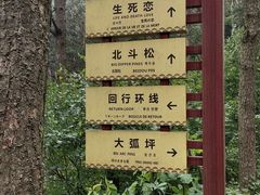 -罗田薄刀峰风景区