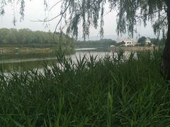 -亲兄弟真人CS团建拓展基地
