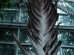 -南山植物园