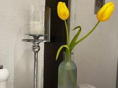 -伊斯坦布尔土耳其清真咖啡餐厅