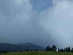 -驼梁风景区