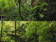 -牛背梁国家森林公园