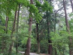 -南岳衡山风景名胜区