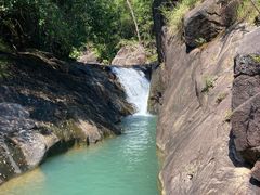 -广州白江湖森林公园