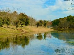 -上海海湾国家森林公园