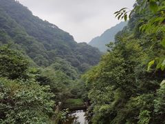 -西安祥峪森林公园