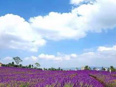 -捞渔河湿地公园
