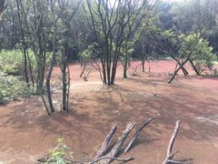 -西湖风景区-江洋畈生态公园
