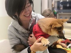 -逗柴咖啡屋·狗咖猫咖宠物桌游